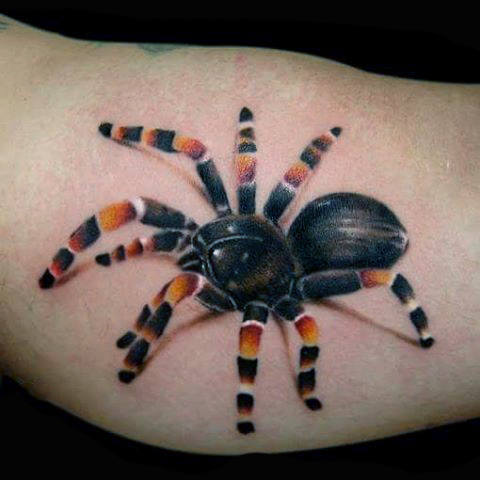 tatuagem aranha 1052