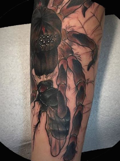 tatuagem aranha 1182