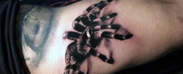 tatuagem aranha 1208