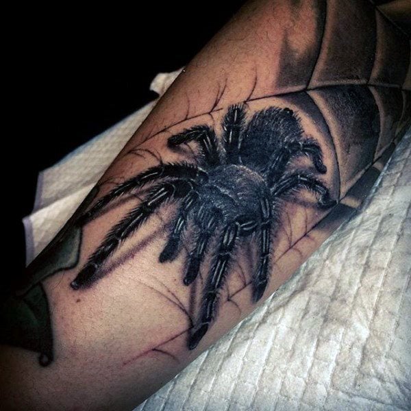 tatuagem aranha 350