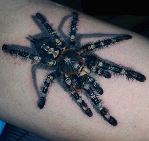 tatuagem aranha 454