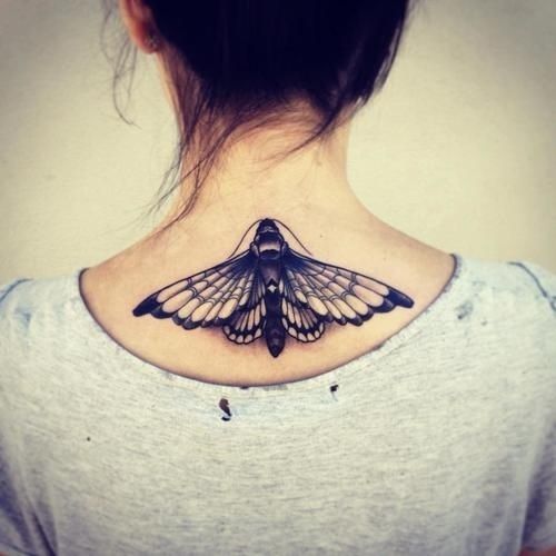 90 tatuagens de borboletas (e o seu significado)