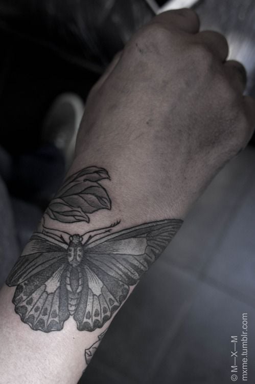 tatuagem borboleta 896