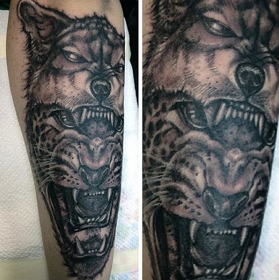 tatuagem leopardo 557