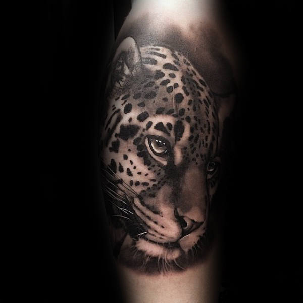 tatuagem leopardo 648