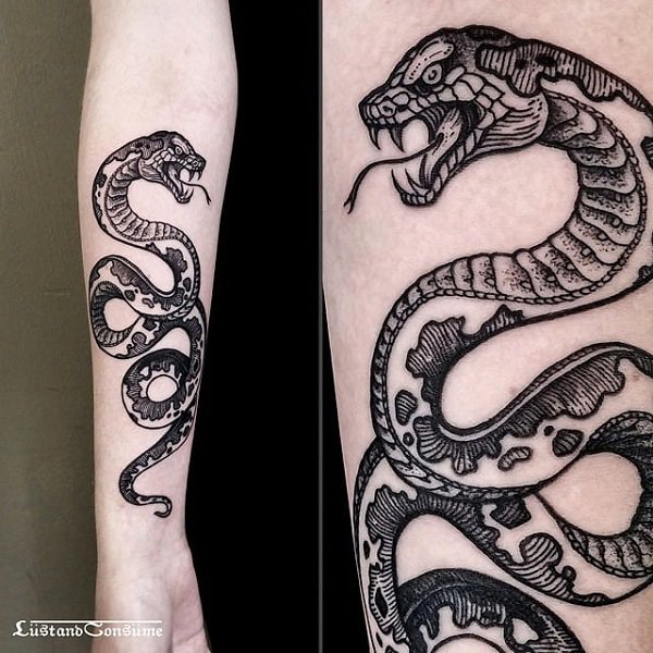 tatuagem serpente 180