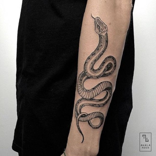 tatuagem serpente 349