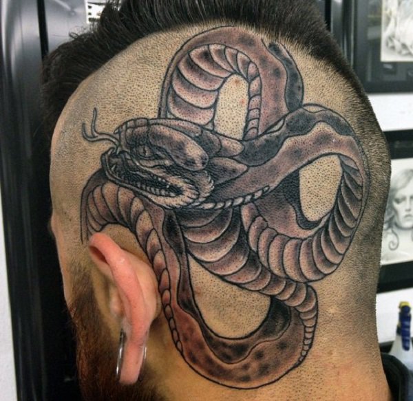 tatuagem serpente 440