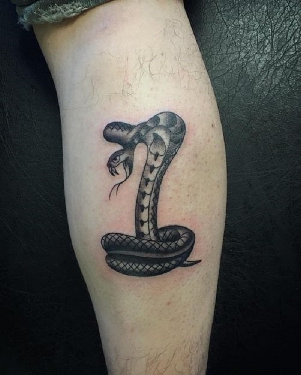 tatuagem serpente 557