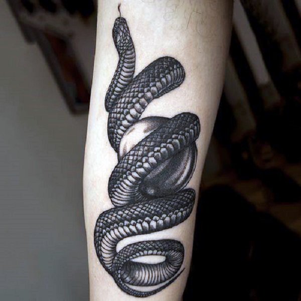 tatuagem serpente 596
