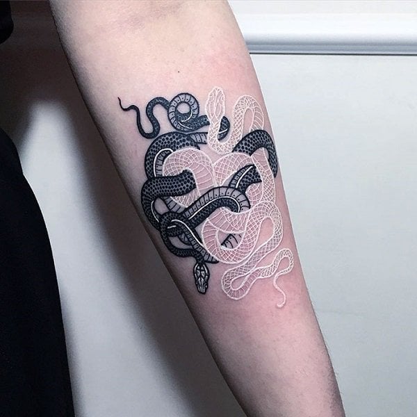 tatuagem serpente 661