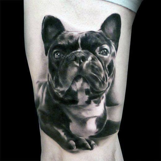tatuagem bulldog 07
