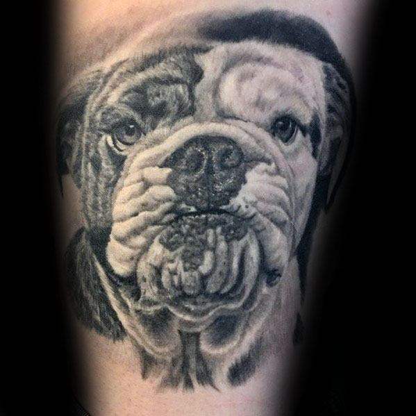 tatuagem bulldog 109