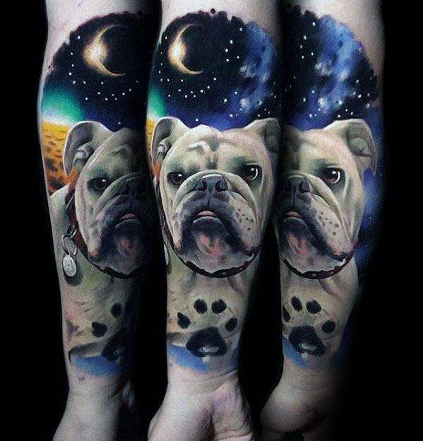 tatuagem bulldog 13