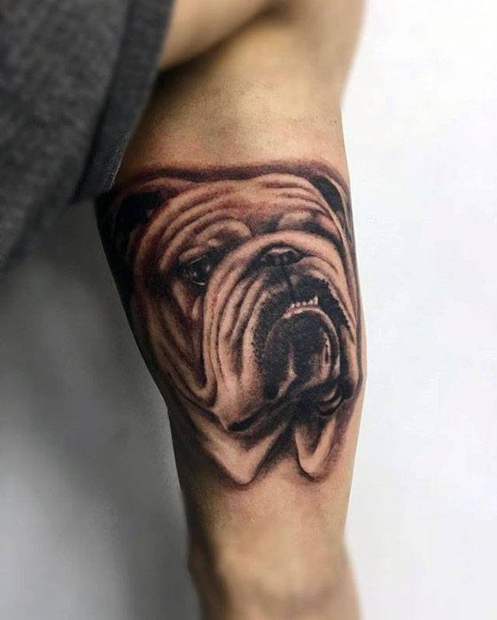 tatuagem bulldog 33