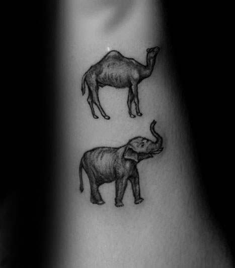 tatuagem camelo 33
