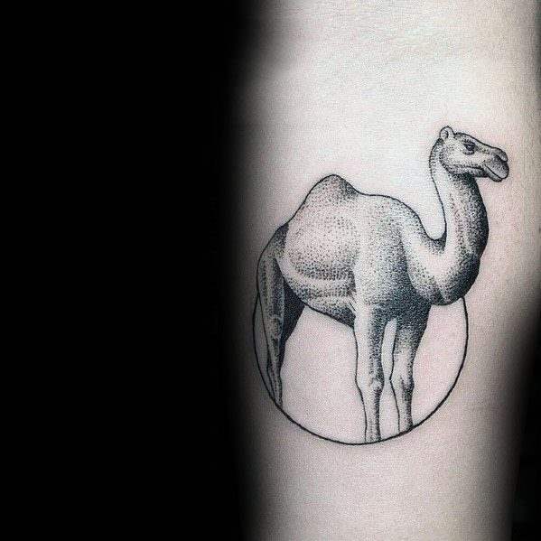 tatuagem camelo 61