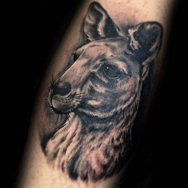 tatuagem canguru 15