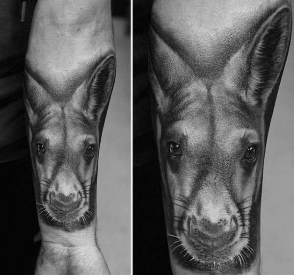 tatuagem canguru 17