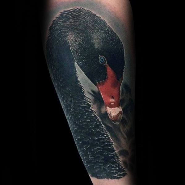 39 tatuagens de cisnes e seu significado