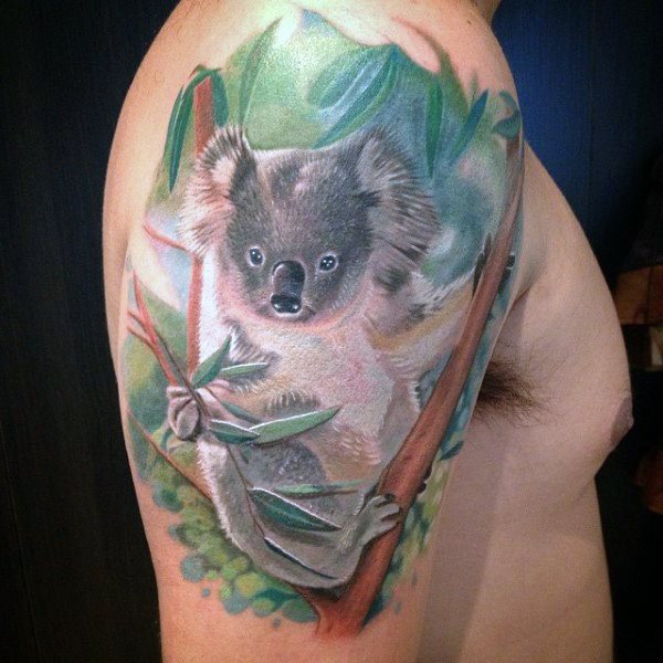 27 tatuagens de coalas – venha conhecer o significado