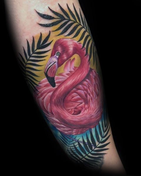 tatuagem flamingo 13