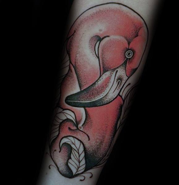 tatuagem flamingo 53