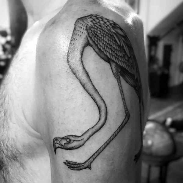 tatuagem flamingo 67