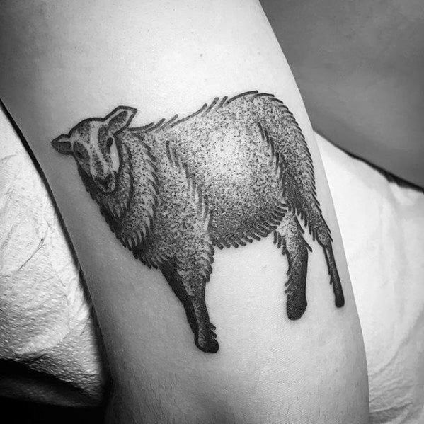 tatuagem ovelha 15