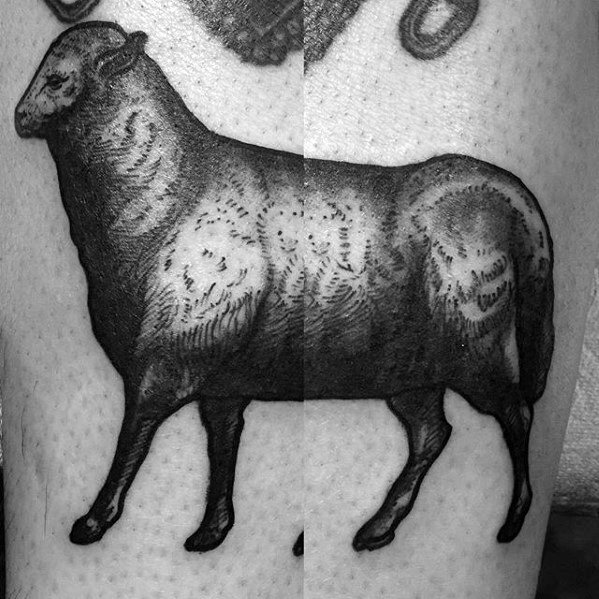 tatuagem ovelha 55