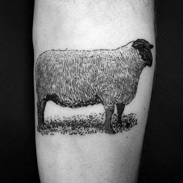 tatuagem ovelha 89