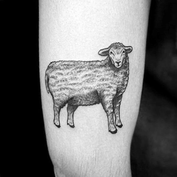 tatuagem ovelha 95