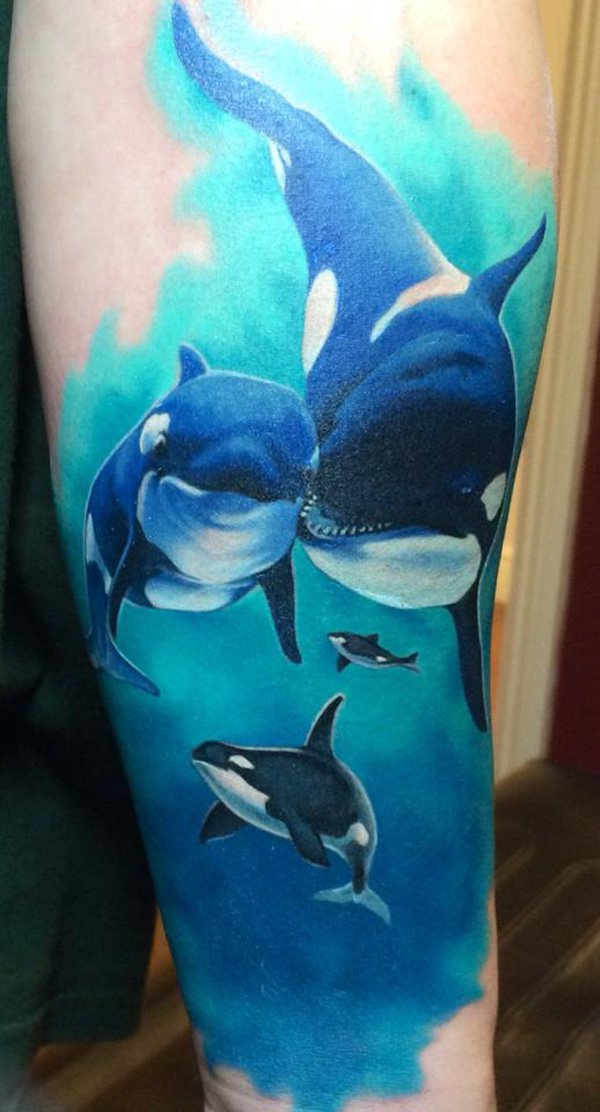 tattuagem golfinho 15