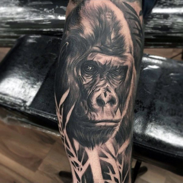 tatuagem gorila 103