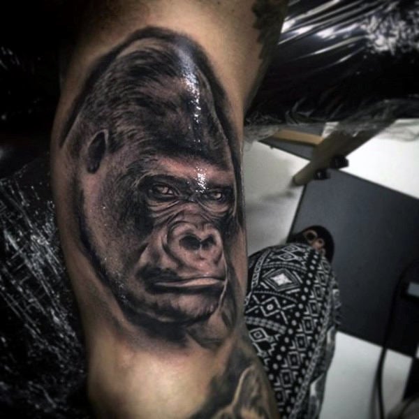tatuagem gorila 43