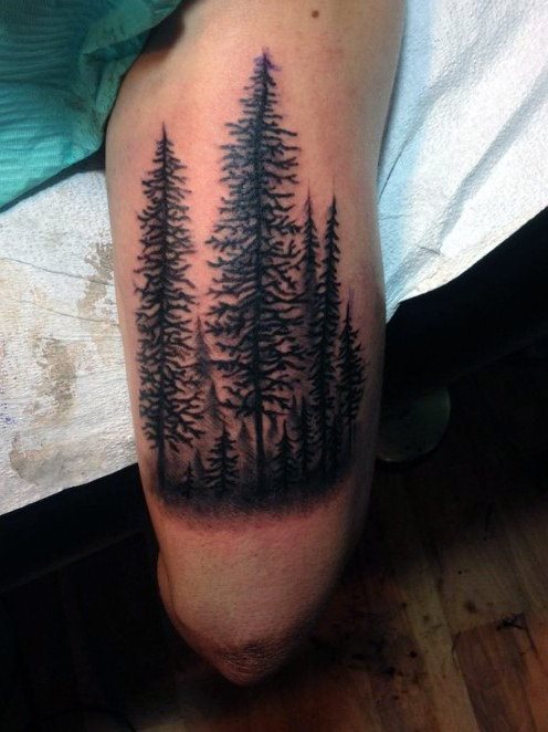 tatuagem pinheiro 31