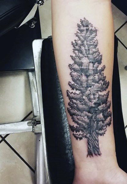 tatuagem pinheiro 40