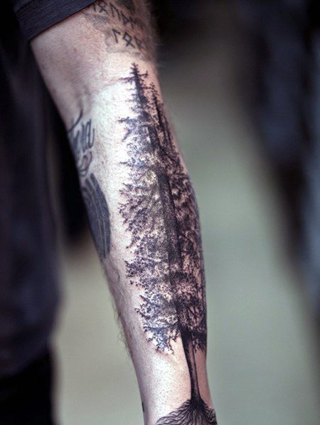 tatuagem pinheiro 64