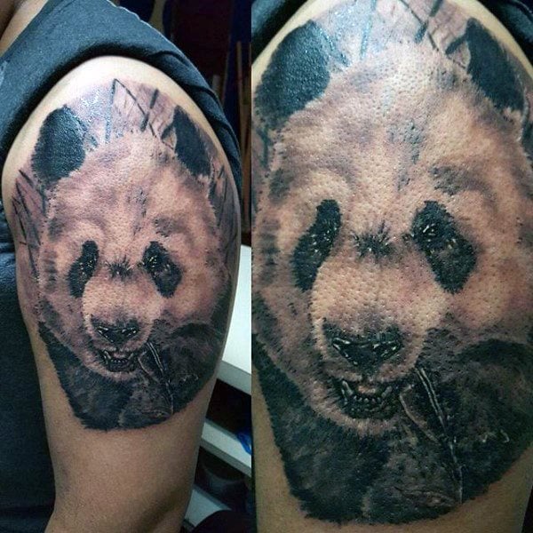 tatuagem urso panda 123