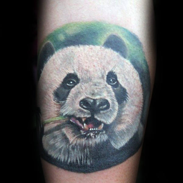 tatuagem urso panda 15
