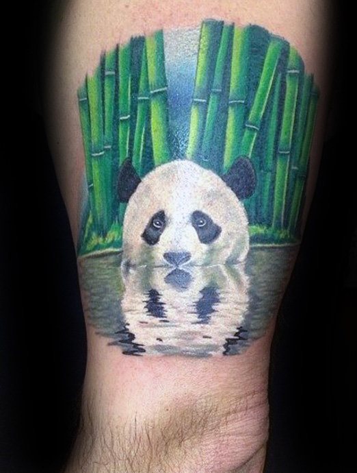 tatuagem urso panda 193