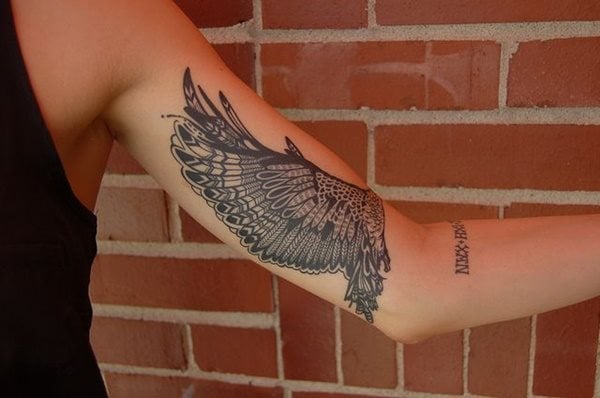 tatuagem aguia 356