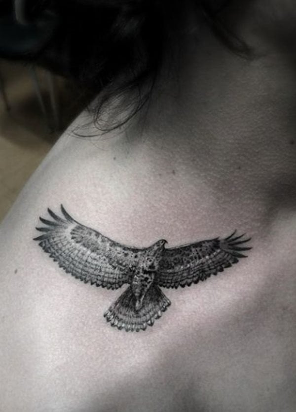 tatuagem aguia 377