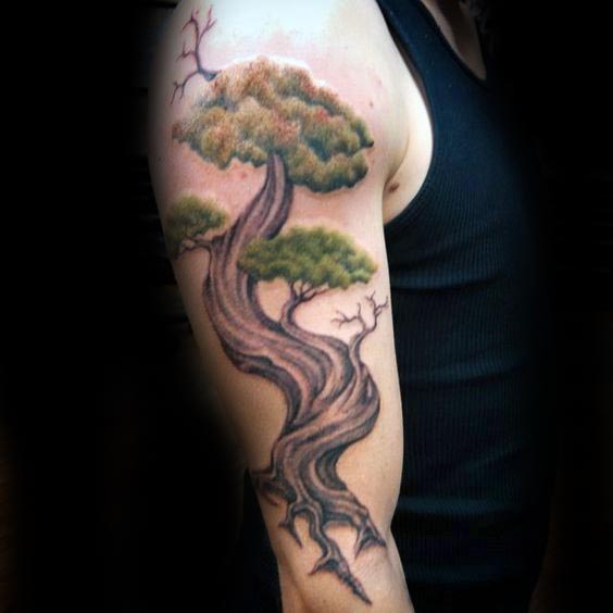 tatuagem bonsai 09