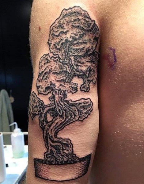 tatuagem bonsai 102
