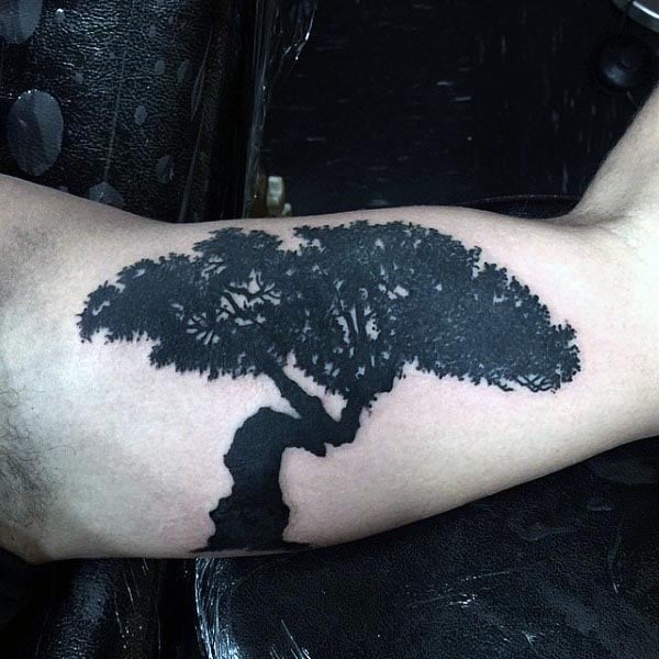 tatuagem bonsai 162