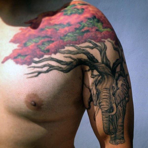 tatuagem bonsai 27