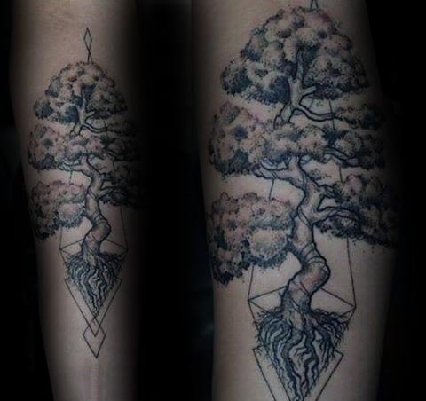 tatuagem bonsai 42