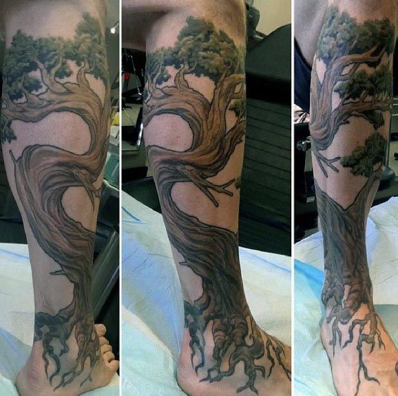 tatuagem bonsai 96