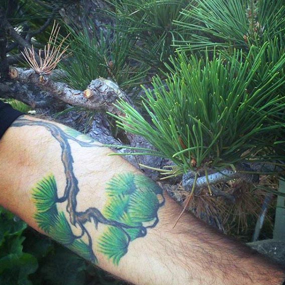 tatuagem bonsai 99
